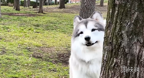 英超豪门争,相求租,独家爆料,金年会6676官方网站,金年会体育6676网页版,金年会官网6676入口,金年会官网6676首页