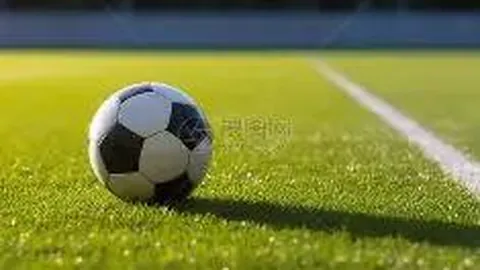 金年会6676官方网站 资讯 102652 2w7